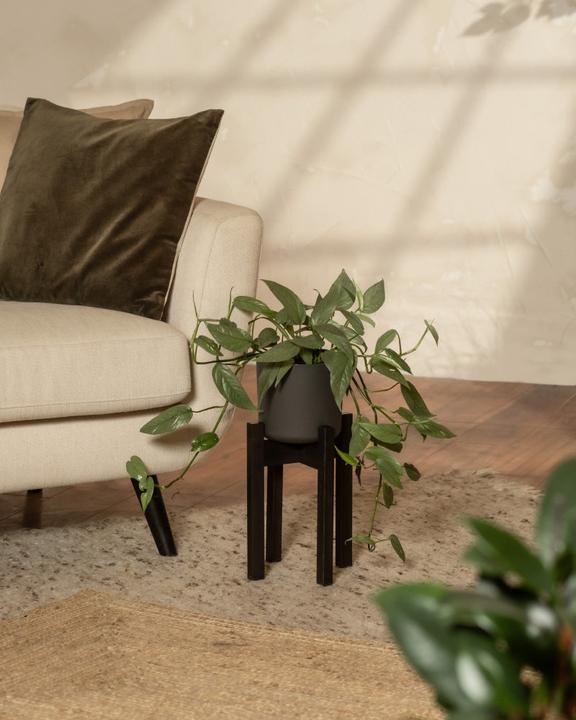 Actual product image feey Plant stand (Stelion | 16 cm Ø)