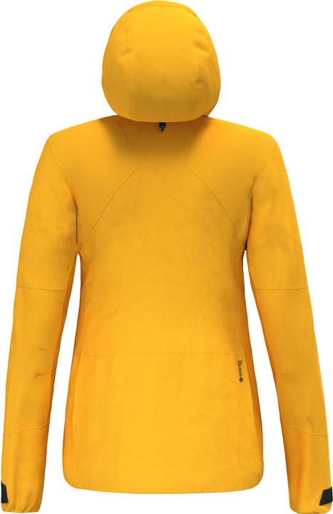 Image du produit Salewa Veste Ortles GORE-TEX® Pro Stretch Da (38, 44, M)