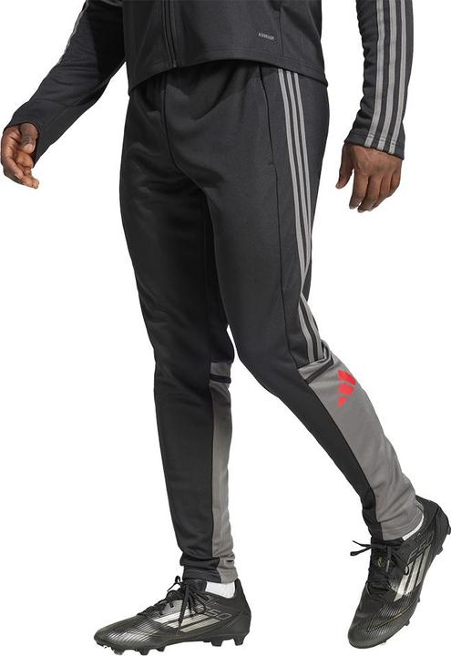 Actual product image adidas Squadra 25 training trousers (XXL)