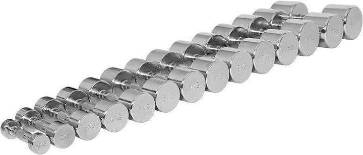 Image du produit Gorilla Sports Haltères courts en chrome (2 x 10 kg)
