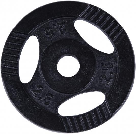 Image du produit Gorilla Sports Plaque de poids en fonte Gripper noir 0,5-20 KG (1 x 2,5 kg)