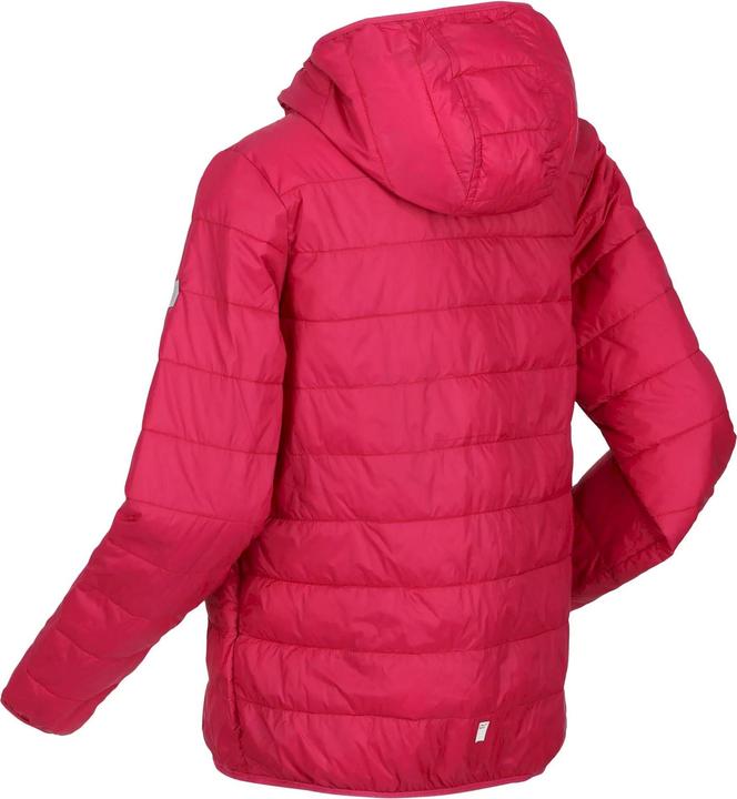 Actual product image Regatta Childrens/Kids Hillpack Hooded Jacket (158)