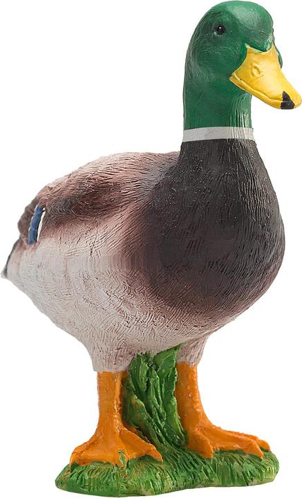 Immagine prodotto Animal Planet Drake di germano reale