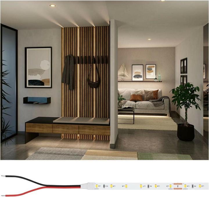 Immagine prodotto Paulmann Pro Strip Argento P25 (Bianco caldo, 500 cm, Interno)