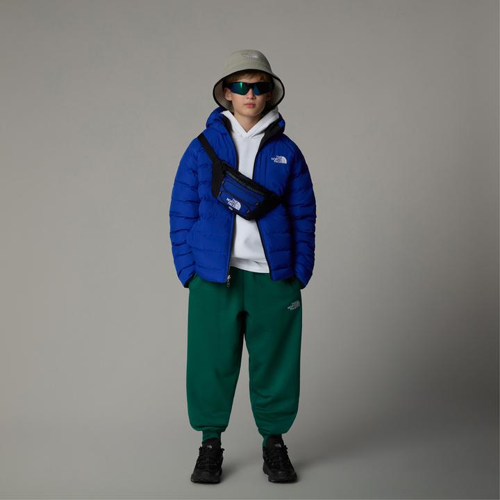 Actual product image North Face Boy's Reversible Perrito Hooded Jacket (S)
