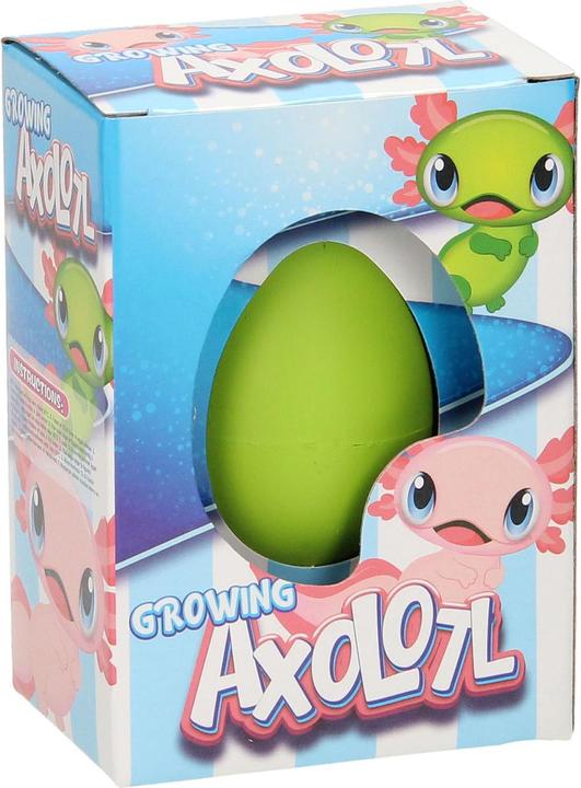 Image du produit Roost Ei mit wachsendem Axolotl