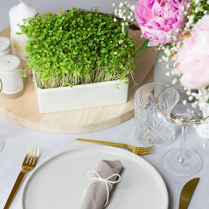 Image du produit Heimgart Microgreens Starter-Kit (Germes)