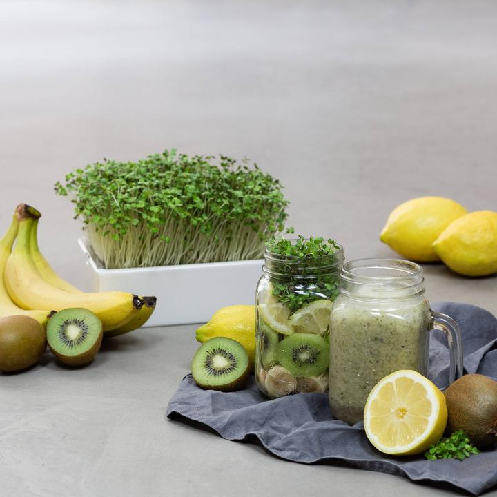 Image du produit Heimgart Microgreens Starter-Kit (Germes)