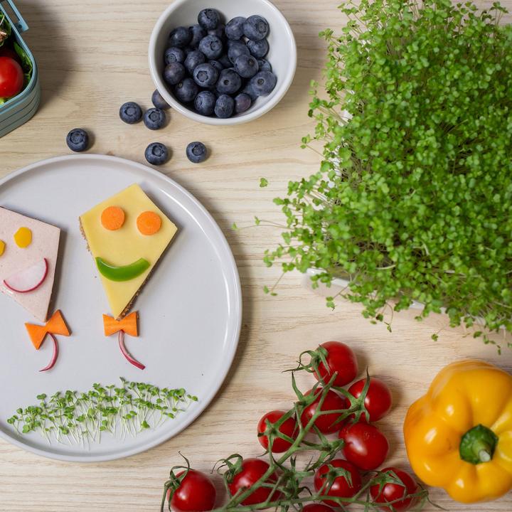 Image du produit Heimgart Microgreens Starter-Kit (Germes)