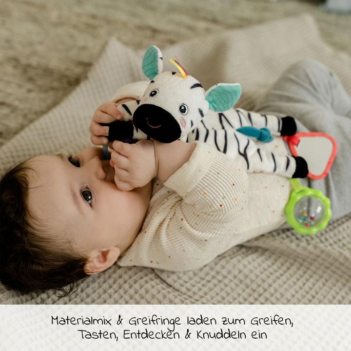 Immagine prodotto Fehn Bean Bag Zebra