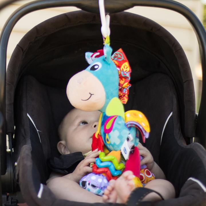 Immagine prodotto Playgro Cavallo di peluche