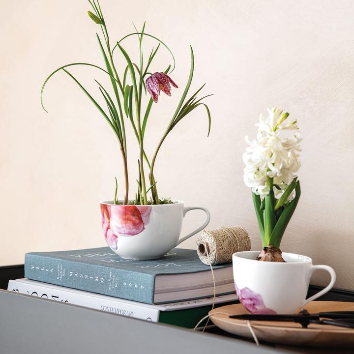 Produktbild Villeroy & Boch Rose Garden (300 ml, 1 x)