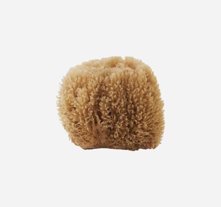Actual product image Meraki Bahamas