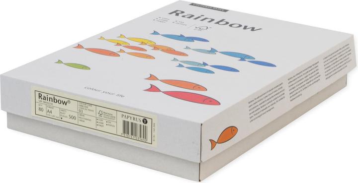 Produktbild Rainbow Kopierpapier neon farbig (80 g/m², 100 x, A4)