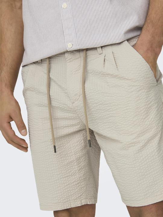 Actual product image Only & Sons Regular fit shorts Shorts (S)