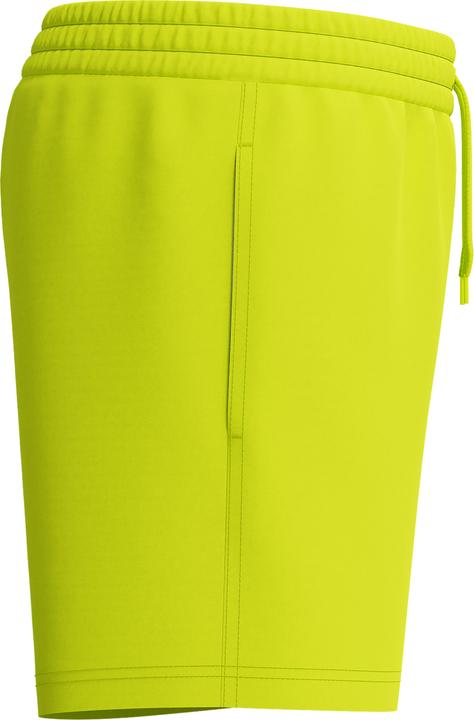Immagine prodotto Speedo Classics 13" Watershort (M)