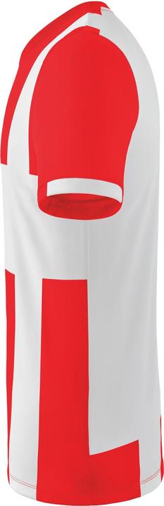 Actual product image Erima Siena 3.0 jersey (164)