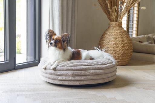 Produktbild Designed by Lotte Liegekissen Reza (Hund)