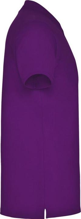 Image du produit Alpinia - Polo STAR - Homme (M)
