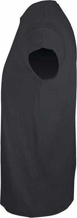 Image du produit Sols Regent Slim Fit T-shirt à manches courtes (M)