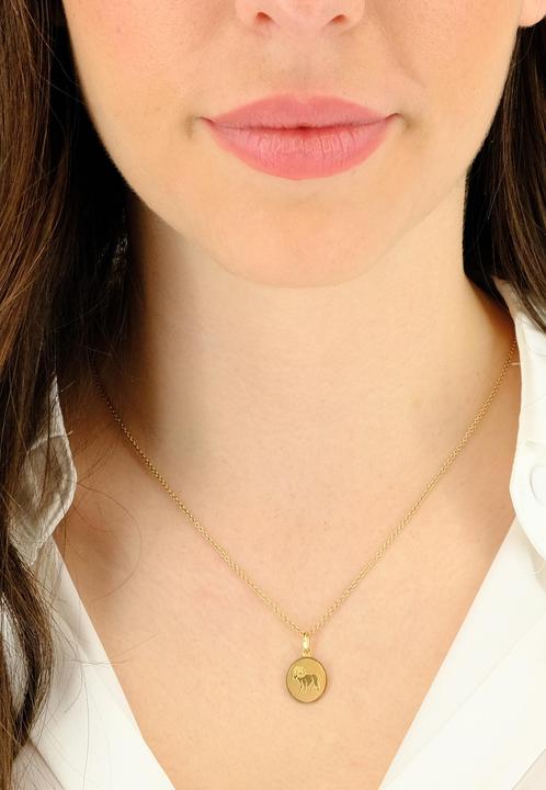 Actual product image Muau Aries (White gold, Yellow gold, Red gold or silver)