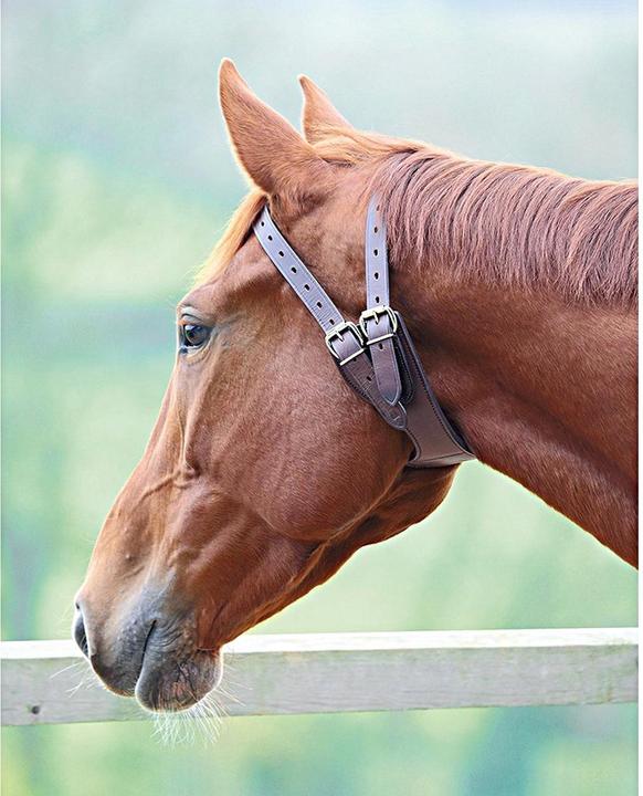 Produktbild Shires Pferd Kopperriemen Leder