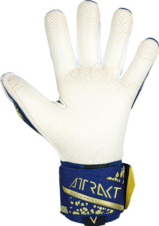 Produktbild Reusch Attrakt Gold X (8)