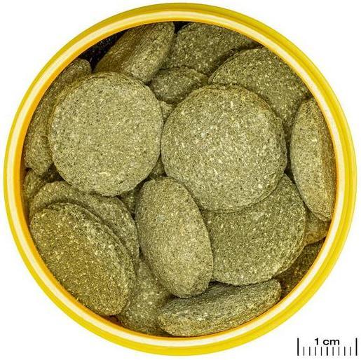 Actual product image JBL Aquaristik und Terraristik ProNovo PLECO WAFER XL 1000ml (Ornamental Fish, 1000 ml)