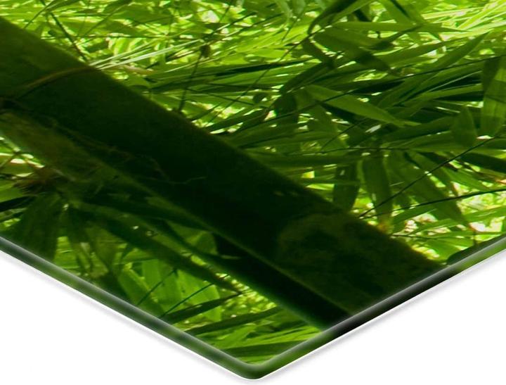 Actual product image Trenddeko Sunshine in bamboo forest - panorama (50 x 120 cm)
