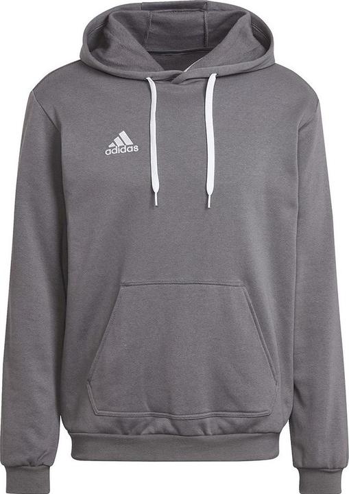 adidas Entrada 22 Kapuzenpullover Herren