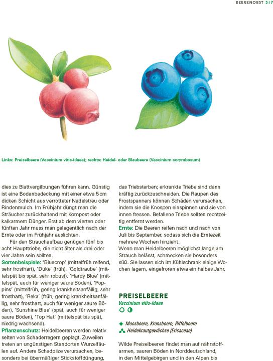 Immagine prodotto Das grosse Gemüse- und Obstgartenbuch (Tedesco, Gioacchino Mayer, 2025)