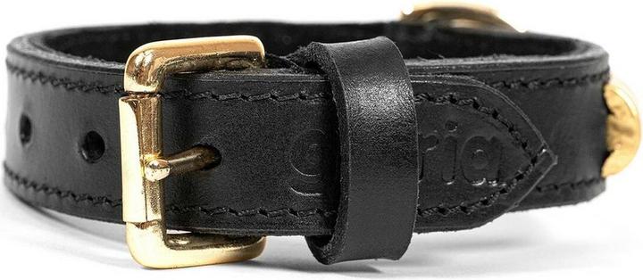 Actual product image Gloria Dog collar Duna black gold 35 cm (35 x 2 cm) (35, Dog, General)