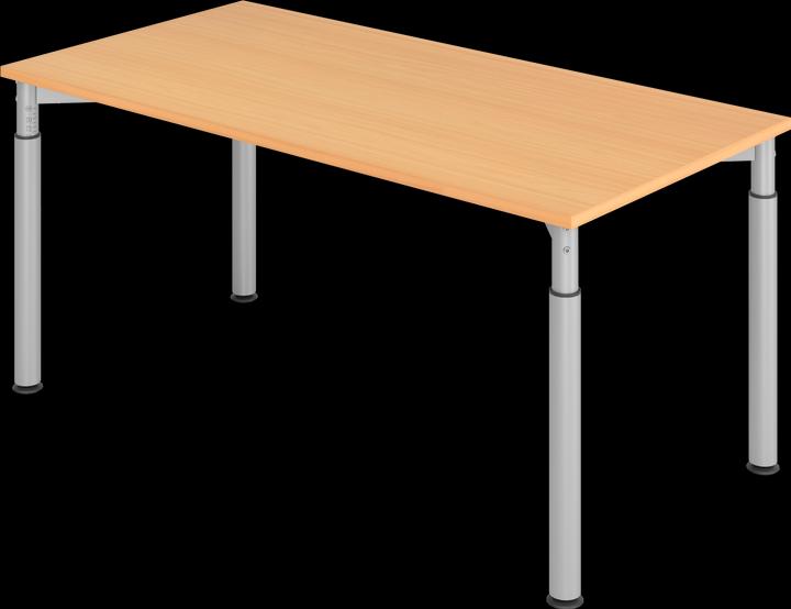 Beech decor