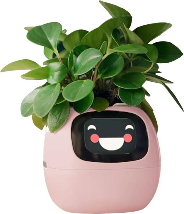 Actual product image Hermex Smart flower pot (11 cm)