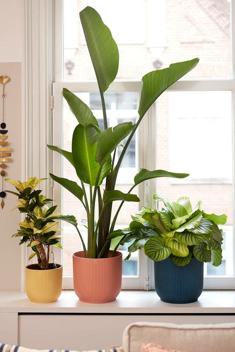 Produktbild Elho Vibes Fold (25 cm)
