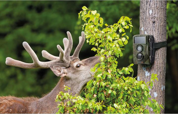 Produktbild Technaxx TX-160 CMOS 25,4 / 3,2 mm (1 / 3.2" ) Nachtsicht Camouflage 3840 x 2160 Pixel