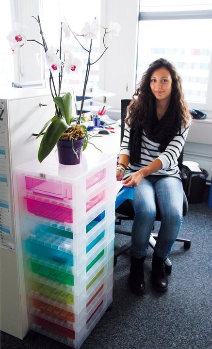 Produktbild Really Useful Box Regaleinheit (30 x 42 x 92.5 cm, 7 l)