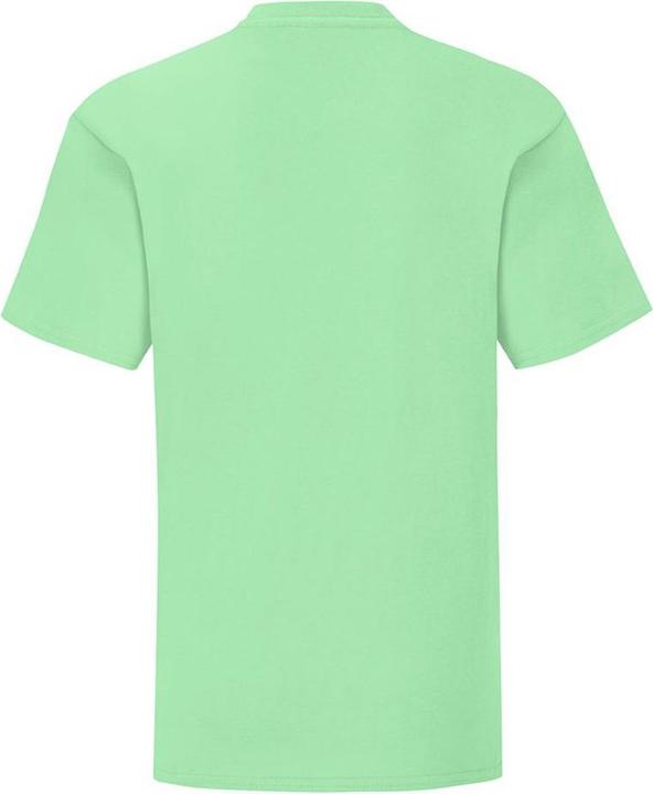 Image du produit Fruit of the Loom UTBC4731 P (116)