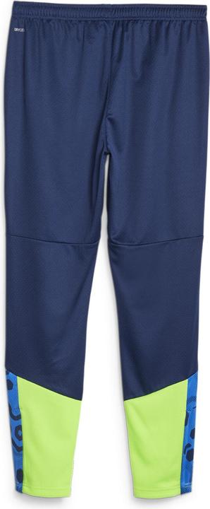 Actual product image Puma individualCUP Training Pants (L)