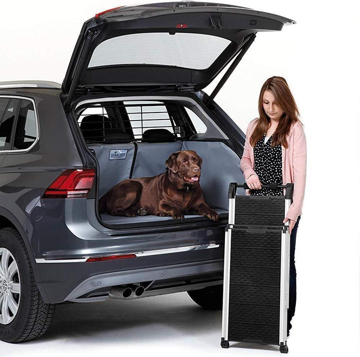 Produktbild Kleinmetall Hunderampe (Hund)