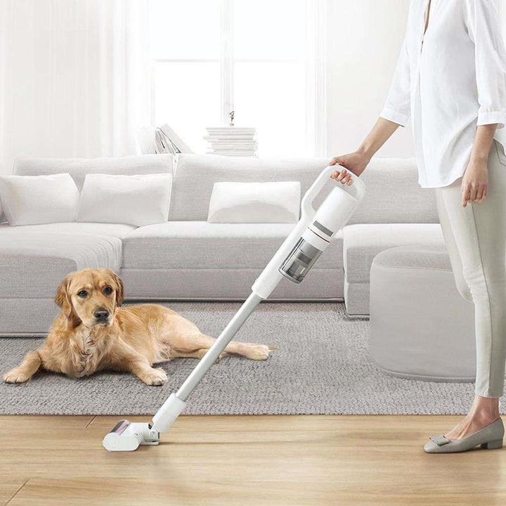 Actual product image Roidmi F8