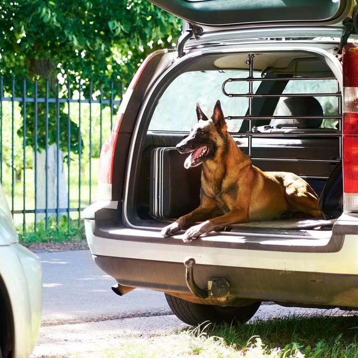 Image du produit Relaxdays Grillage pour chiens en voiture, protection (Chien, Ouverture complète)