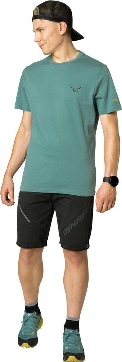 Actual product image Dynafit 24/7 Graphic T-Shirt (XL)