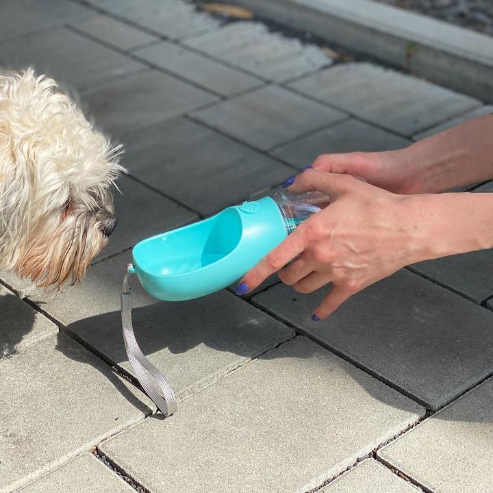 Image du produit Intirilife Kit chien bleu : sac à friandises en silicone & bouteille d'eau (Taille unique)