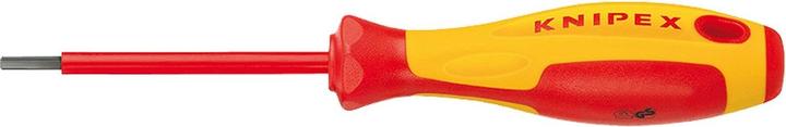 Image du produit Knipex Tournevis pour vis à six pans creux (Clé Allen)