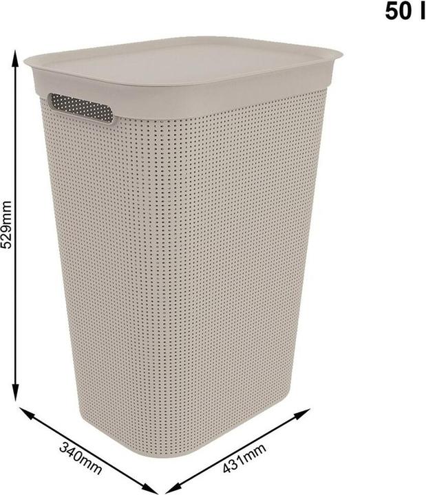 Actual product image Rotho Brisen (50 l)