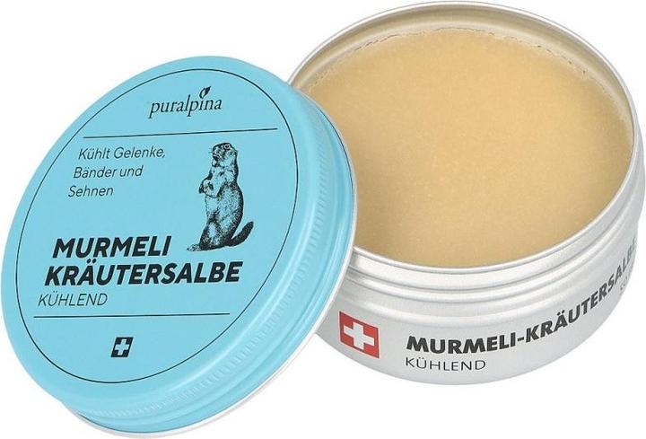 Immagine prodotto Puralpina Unguento alle erbe Murmeli (1 x, 100 ml, 110 g)