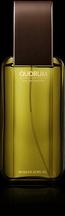 Immagine prodotto Antonio Puig Quorum (Eau de toilette, 100 ml)