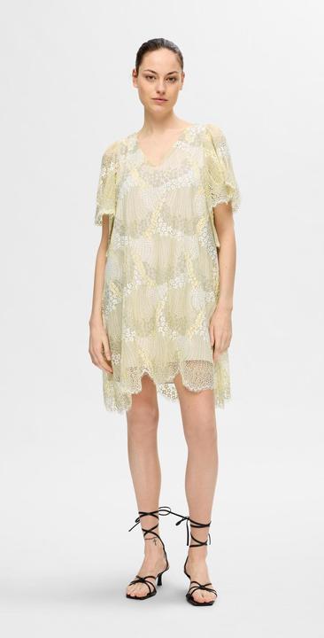 Actual product image Selected Femme Lace mini dress (40)