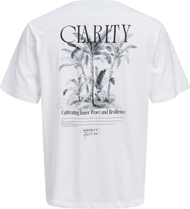 Actual product image Jack & Jones Jorbradley Clarity Tee Ss C.N Stmss25 (L)